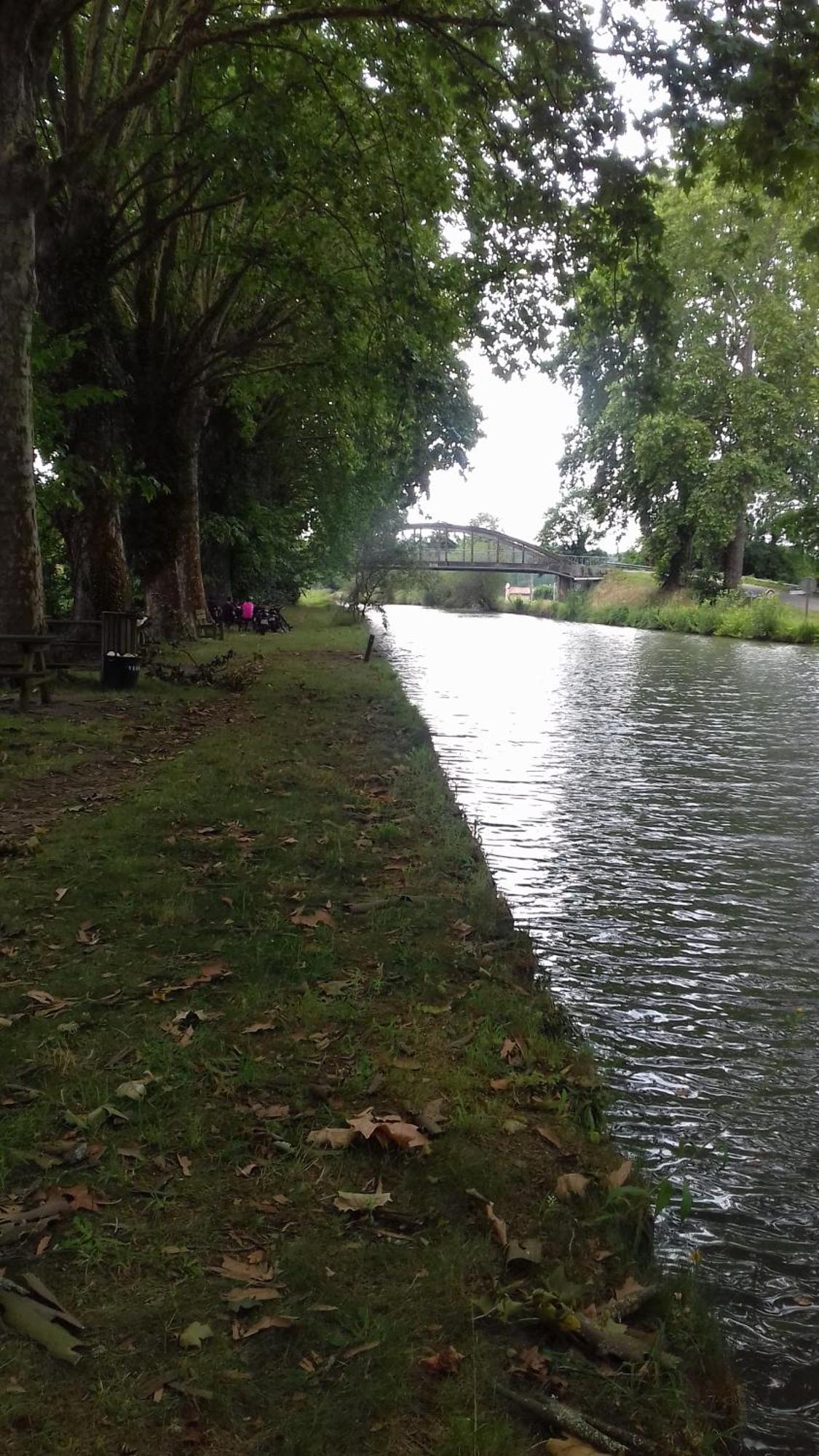 Le Studio De La Casa Fourquaise Lejlighed Fourques-sur-Garonne Eksteriør billede